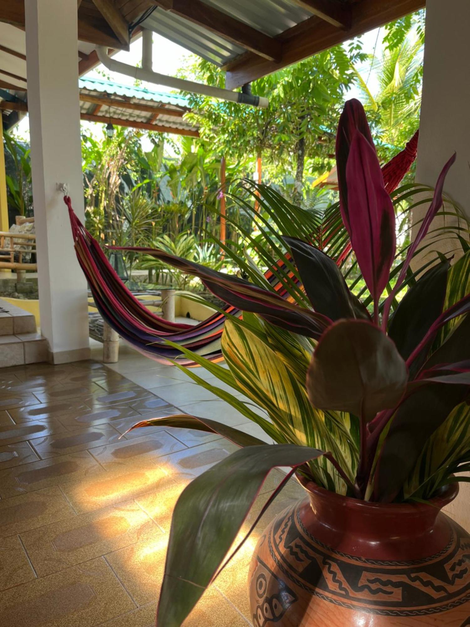 Hotel Pura Vida Puerto Viejo de Talamanca Экстерьер фото