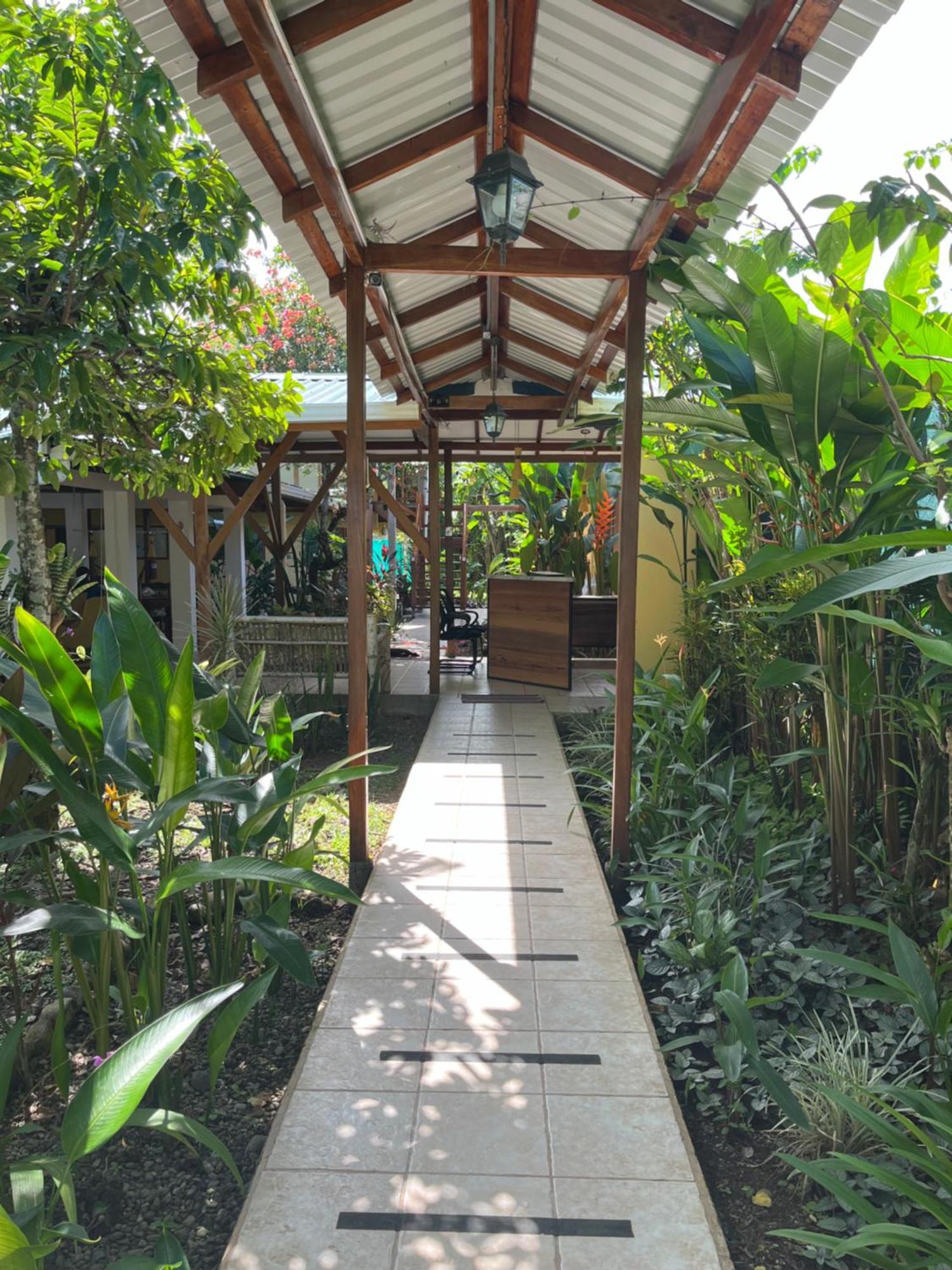 Hotel Pura Vida Puerto Viejo de Talamanca Экстерьер фото