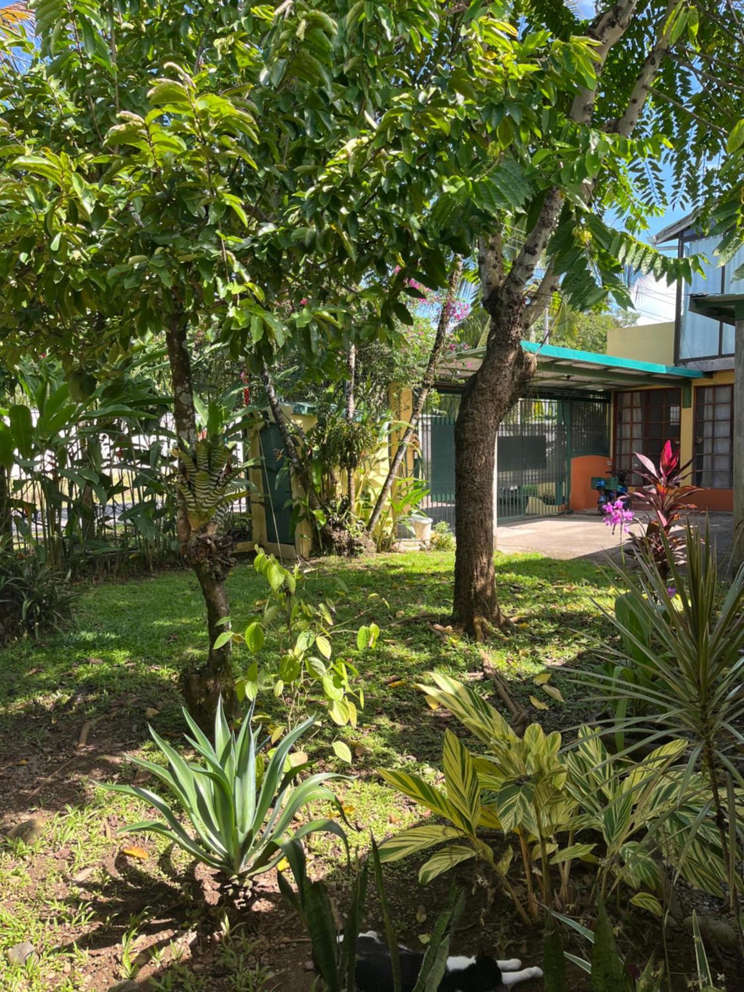 Hotel Pura Vida Puerto Viejo de Talamanca Экстерьер фото