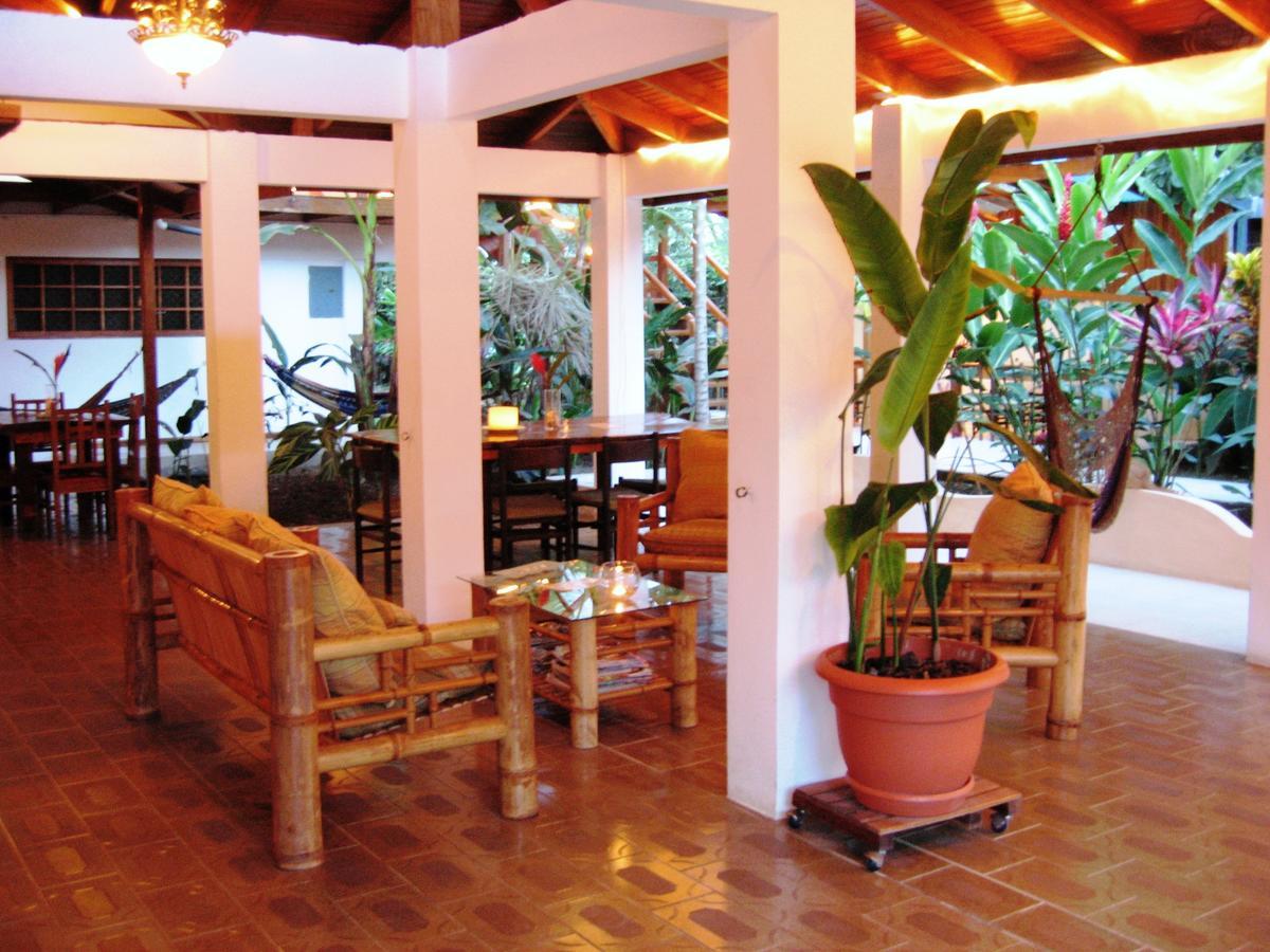 Hotel Pura Vida Puerto Viejo de Talamanca Экстерьер фото
