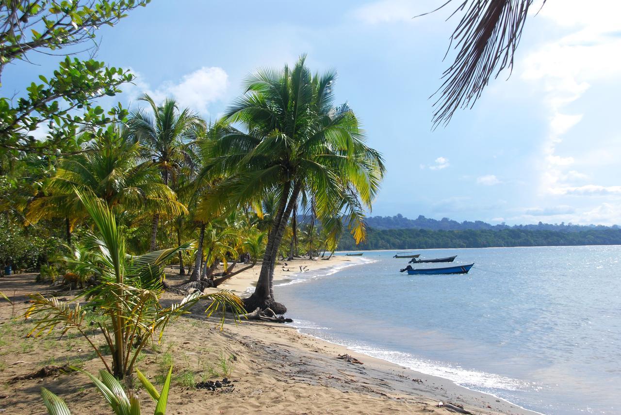 Hotel Pura Vida Puerto Viejo de Talamanca Экстерьер фото