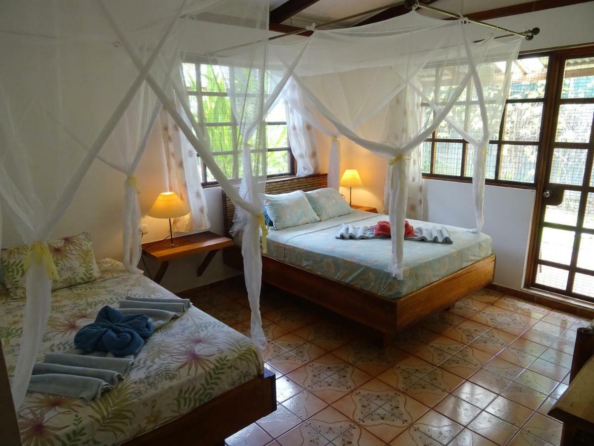 Hotel Pura Vida Puerto Viejo de Talamanca Экстерьер фото