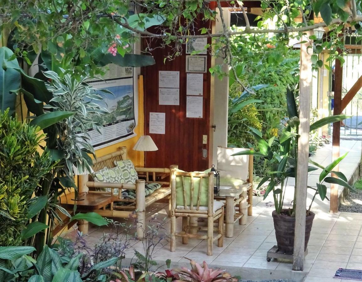 Hotel Pura Vida Puerto Viejo de Talamanca Экстерьер фото