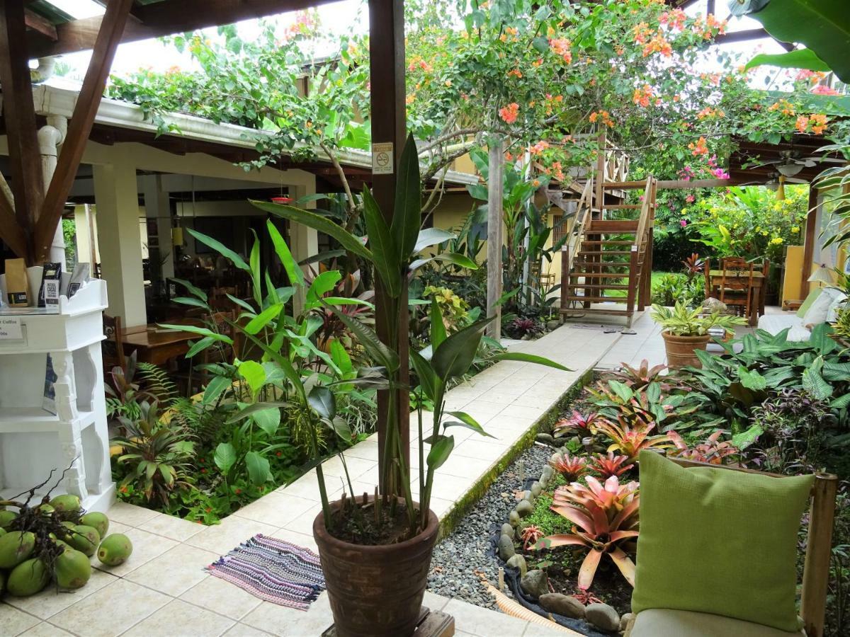 Hotel Pura Vida Puerto Viejo de Talamanca Экстерьер фото