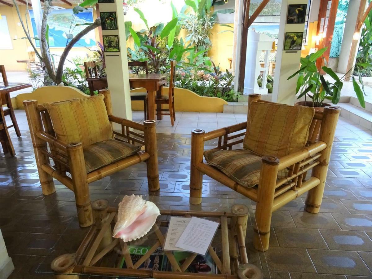 Hotel Pura Vida Puerto Viejo de Talamanca Экстерьер фото