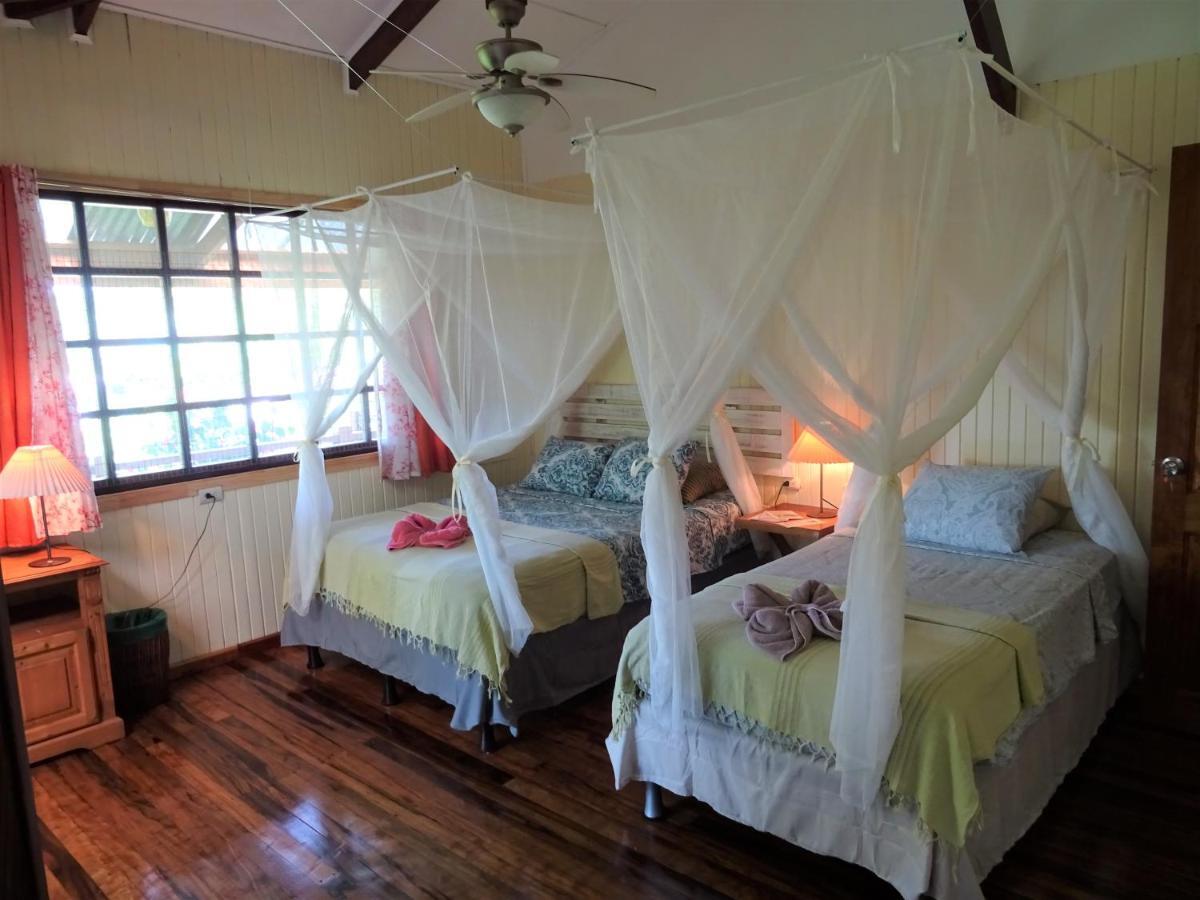 Hotel Pura Vida Puerto Viejo de Talamanca Экстерьер фото