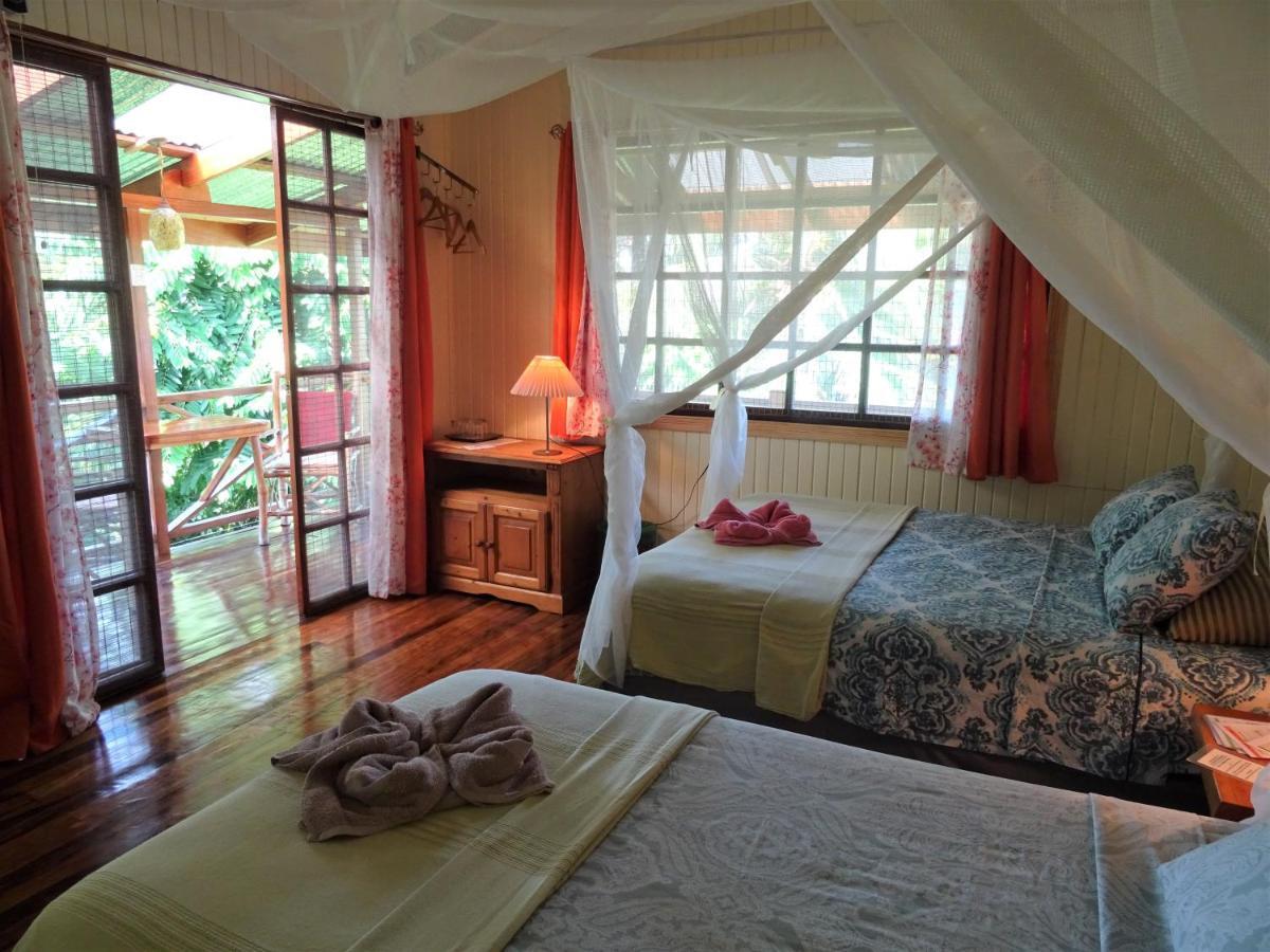 Hotel Pura Vida Puerto Viejo de Talamanca Экстерьер фото